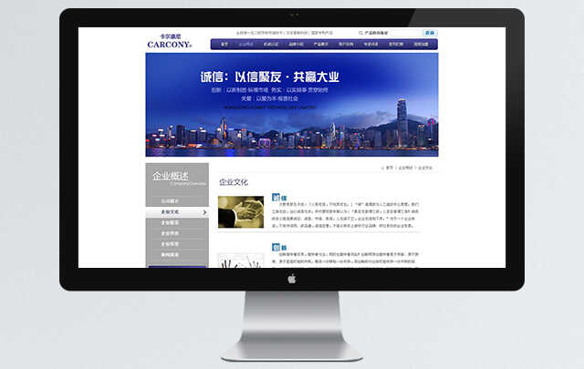企業網站設計