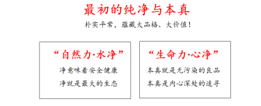 凈之初品牌策劃