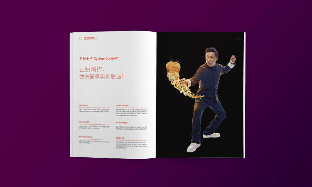 食品招商手冊設(shè)計策劃