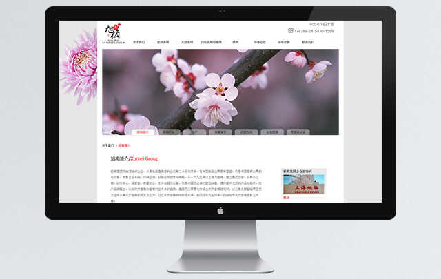上海網站設計